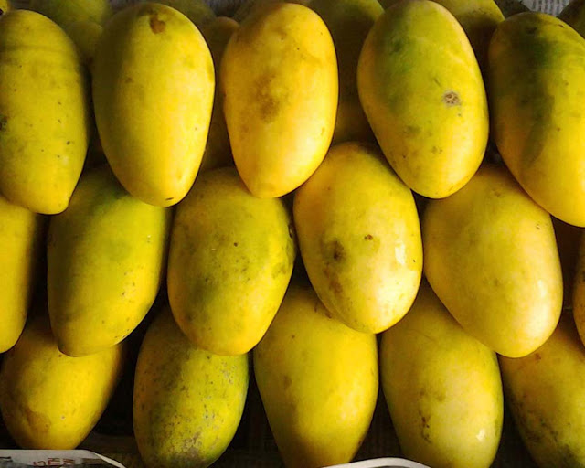 Philippine mango